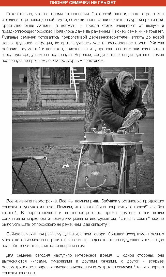 Почему грызут семечки. Пионер семечки не грызёт. семечки не грызть. грызть семечки это неприлично. просьба семечки не грызть.