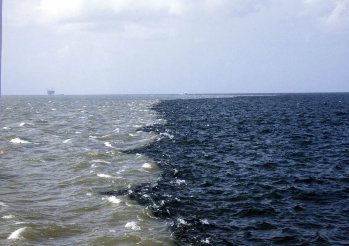 Аляскинский залив и тихий океан. Галоклин Скаген. Балтийское море Атлантический океан.