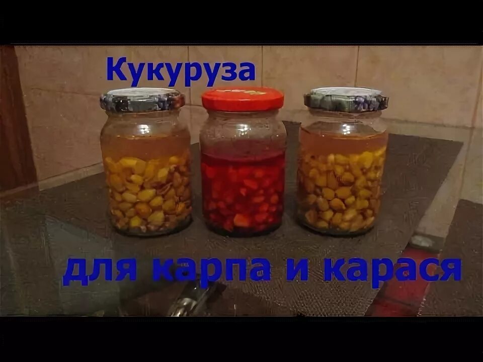 Приготовить кукурузу на карпа. Приготовить кукурузу на карпа