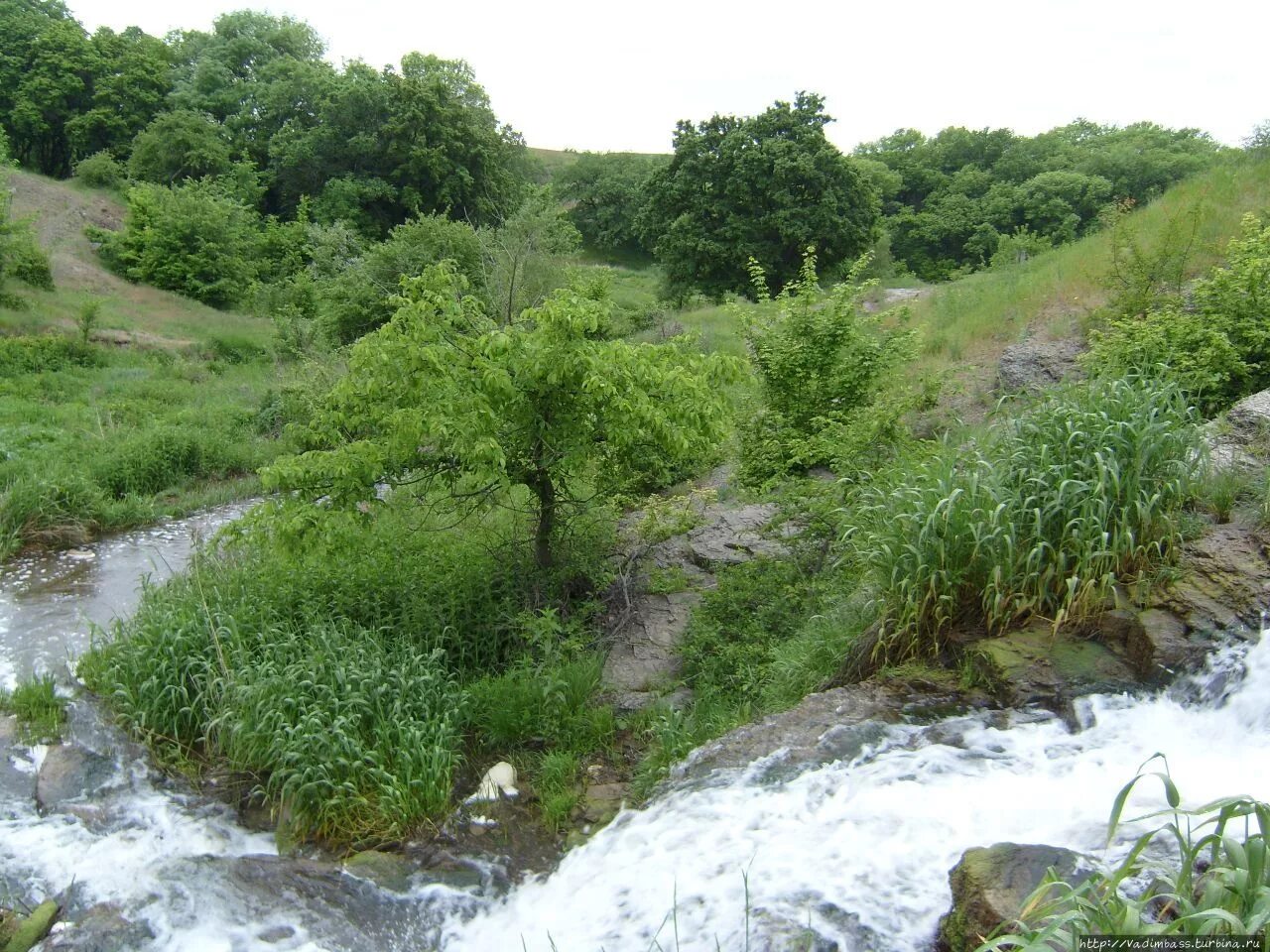 Ольховая луганская. Луганская область село ольховая. Ольховая луганская. Река большая каменка луганская область. Ольховая луганская.
