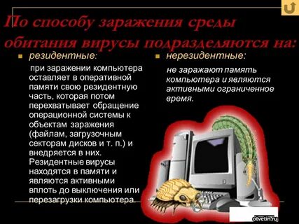 Память компьютера заражают вирусы