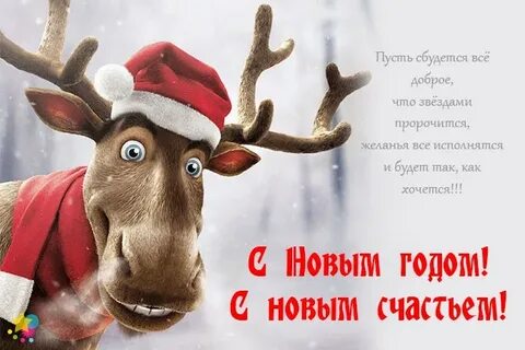С новым годом лося