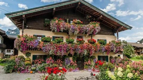 Flower house