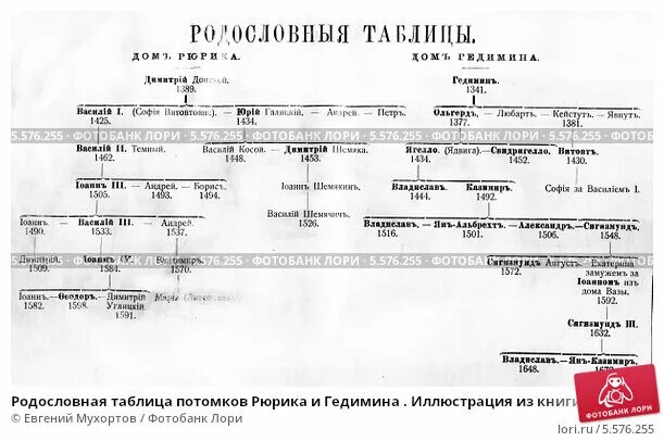 Родословная таблица. Генеалогическая таблица. Потомки Рюрика. Родословную русских князей. Составьте генеалогическую таблицу первых романов