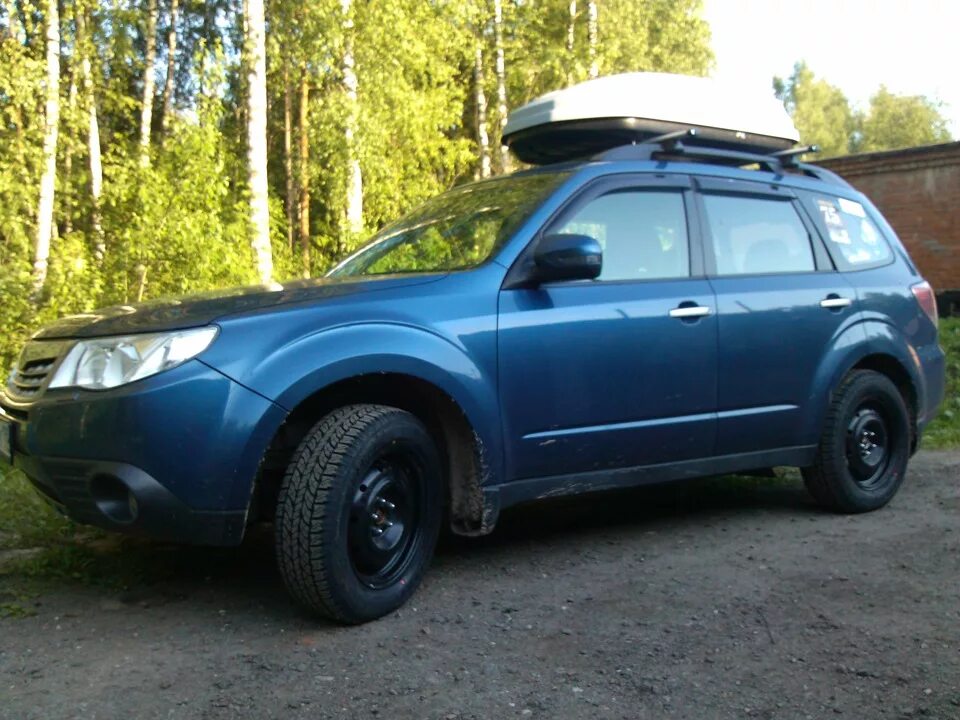 Резина forester. Subaru forester sh5. субару форестер лесник. резина at на subaru forester sh. субару форестер на ат резине.