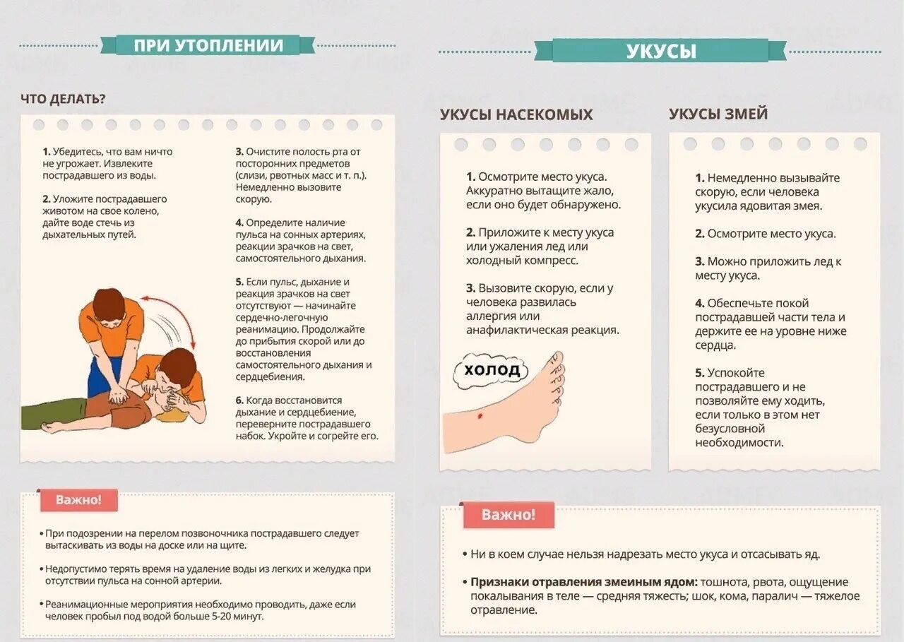 Укусила змея помощь. Памятка при укусе гадюки. Памятка оказание первой помощи при укусе змеи. Памятка оказание неотложной помощи при укусе змеей. Памятка при укусах змей.