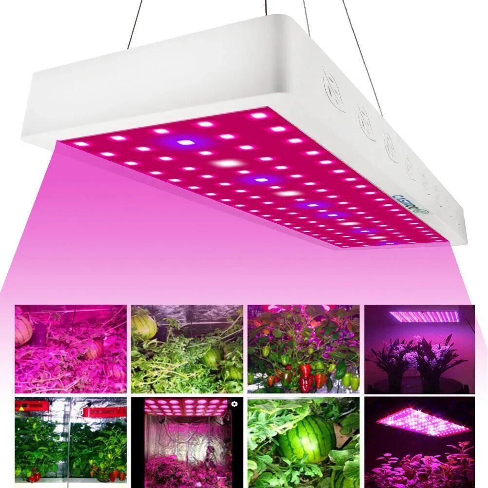 Спектр светодиодной лампы для растений. Фитолампа led grow Light. Фитолампа светодиодная д/растений е27 5вт 24шт bioгрядка. Светодиодная лампа для растений 1000вт. Лампа для растений 1000w led.