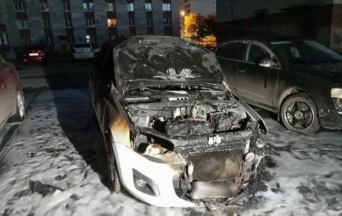 Сгоревшая калина