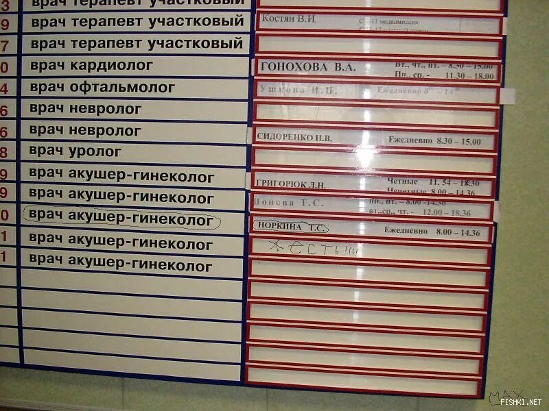 Фамилии врачей гинекологов. Фамилия терапевта. Фамилии врачей терапевтов. Названия врачей в поликлинике. ФИО врача.