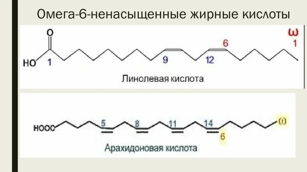 Омега 6 жирные кислоты формулы. Линолевая кислота формула Омега 6. Омега 6 жирные кислоты строение. Источник 3 жирных кислот ответ на тест