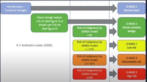 Orads классификация образований яичников таблица. O rads классификация. Классификация о rads УЗИ. Orads классификация образований яичников.
