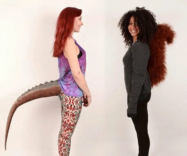 Хаост у человека нм копчике. Куда делся хвост. Куда делся хвост. Лиса с пушистым хвостом. Кот с хвостом.