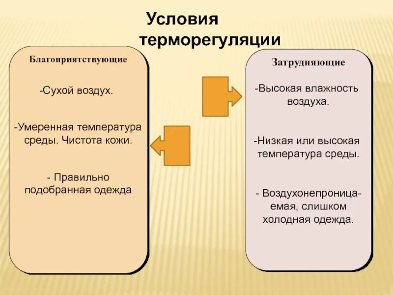 Структуры человека участвующие в терморегуляции. Терморегуляция. терморегуляция организма человека. терморегуляция организма человека презентация. условия терморегуляции.