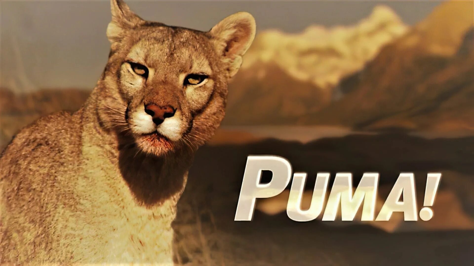 Puma. Надпись Пума. Puma на заставку.