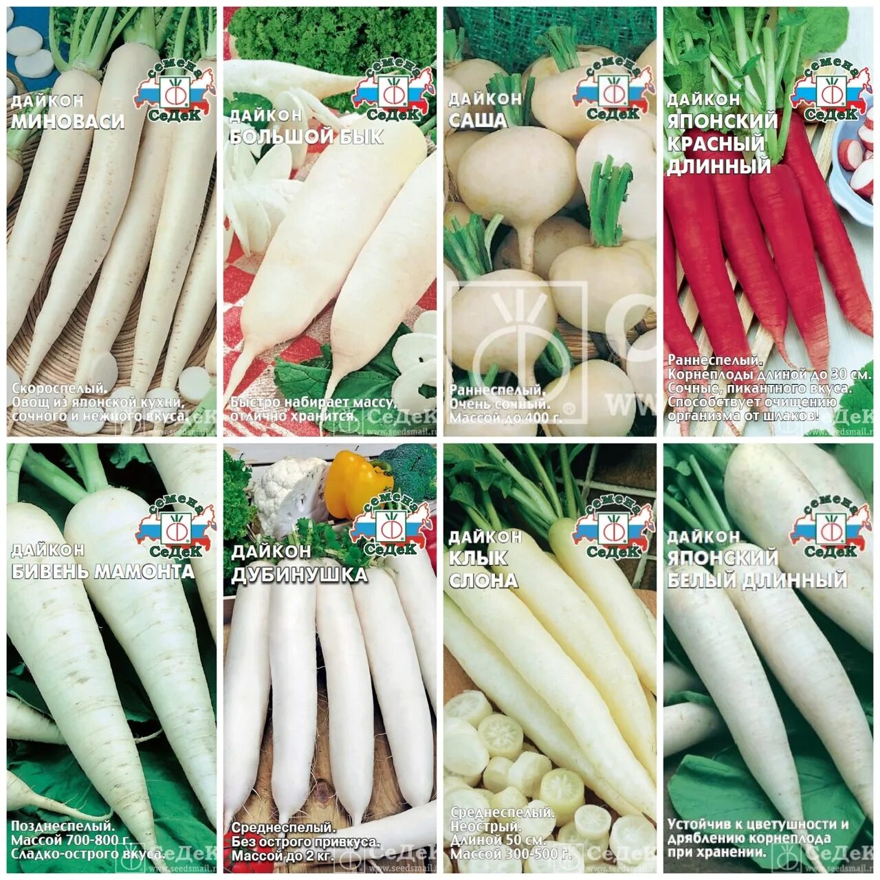 Дайкон с глазами. Дайкон роллы петропавловск камчатский меню. Дайкон какаду. Семена гавриш удачные семена дайкон цезарь 1 г. Меню суши бара.