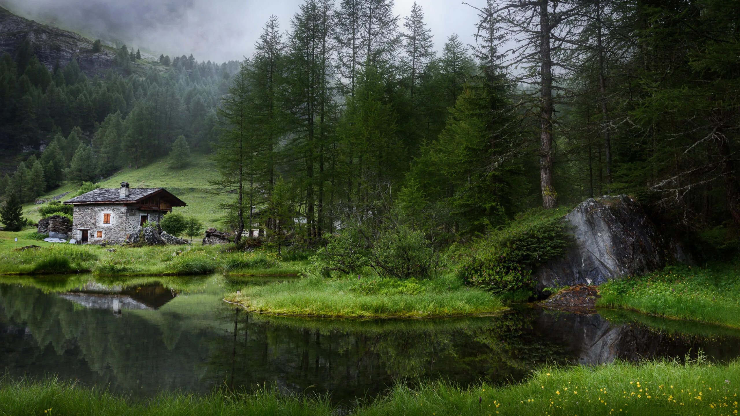 Хижина штата Мэн. Шварцвальд дом в лесу. Одинокий дом в лесу у озера. Одинокий домик в лесу. Дом дикой природы