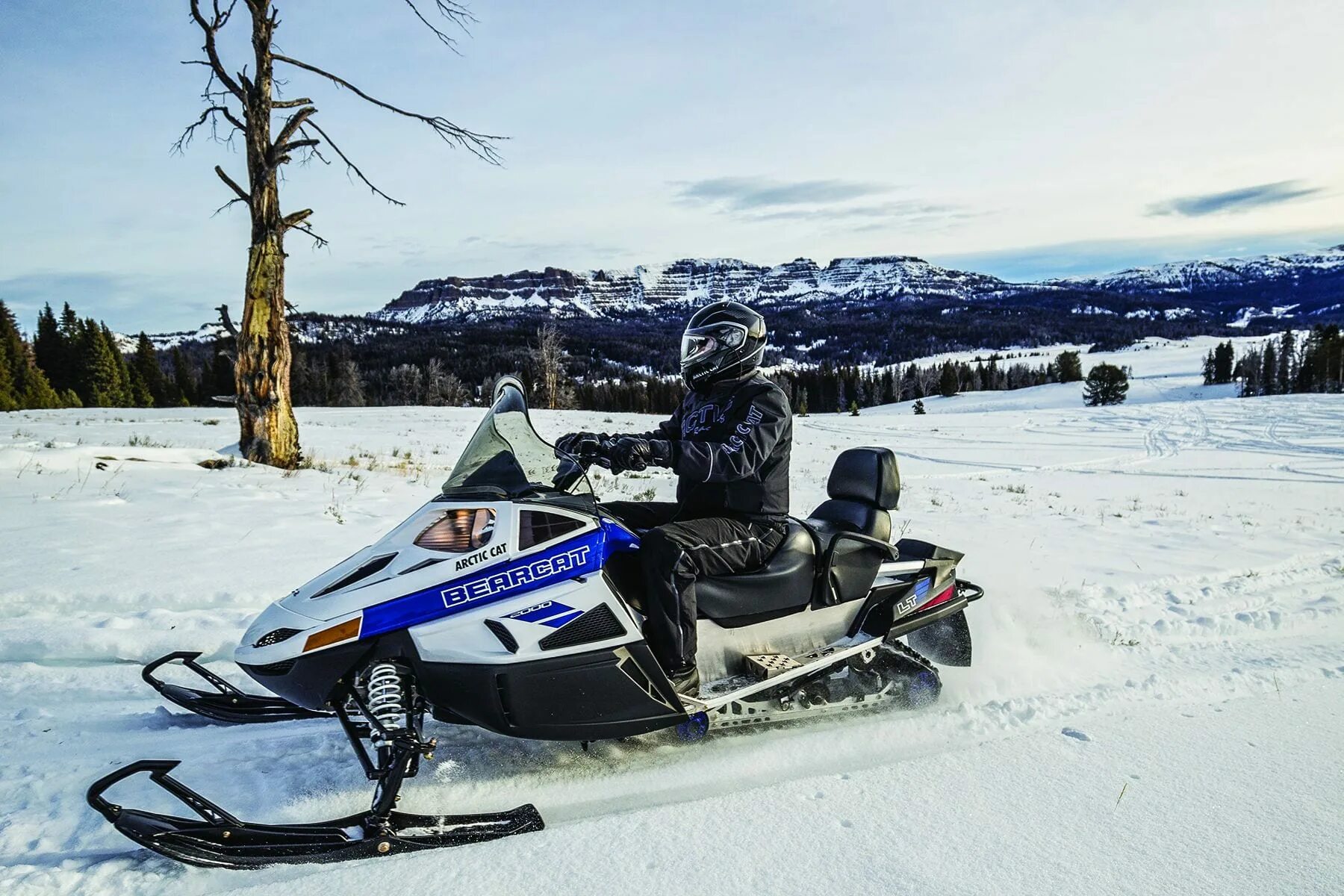 Купить снегоход шихан. Arctic Cat Bearcat 2000. Снегоход Буран Шихан. Снегоход Арктик Кэт. Arctic Cat Bearcat 570 lt.