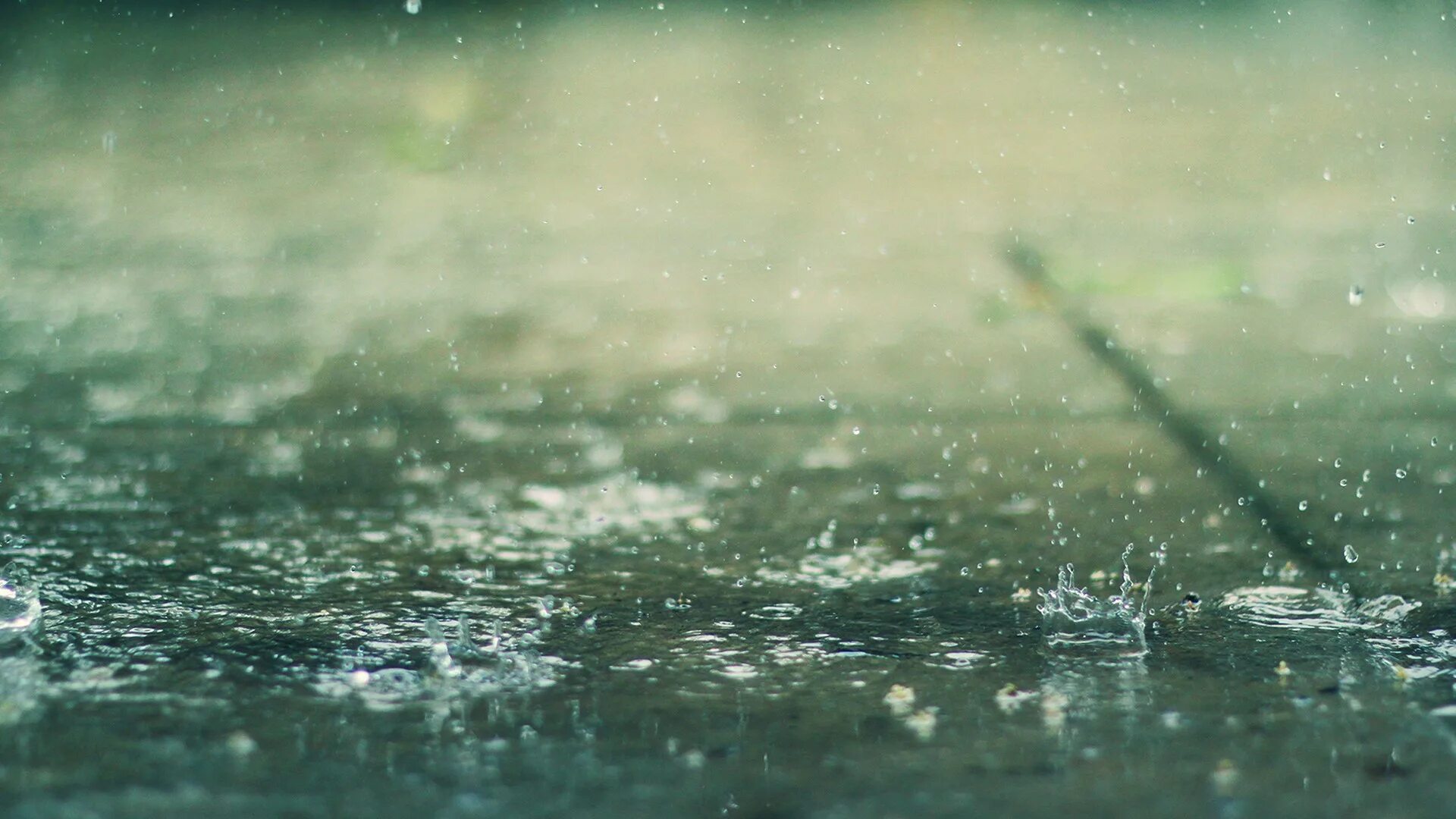Спорый дождь. Обои дождь. Обои на рабочий стол дождь. Проливной дождь. Фото на рабочий стол дождь.