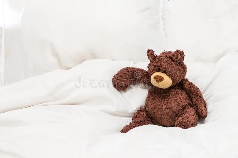 The teddy is on the bed