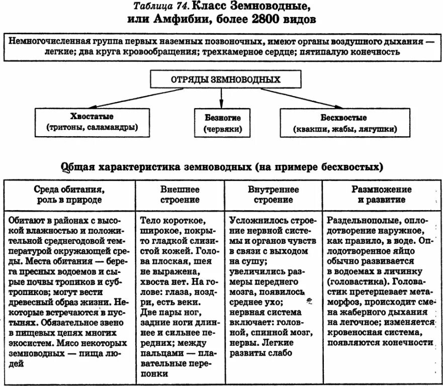 Характеристика класса земноводных биология 7 класс таблица. Характеристика класса земноводные 7 класс биология таблица. Земноводные характеристика таблица 7 класс биология. Класс земноводные общая характеристика таблица.