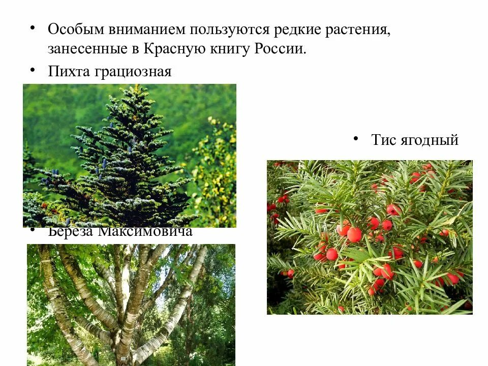 Пользовался редко