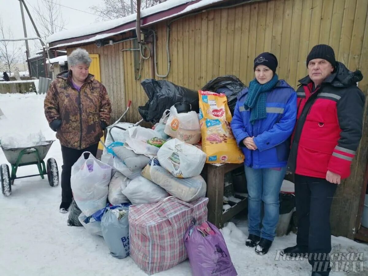 Волонтеры помогающие бездомным. Волонтеры помогают бездомным. Волонтеры в приюте. Волонтеры помогают животным. Волонтеры в приюте для животных.