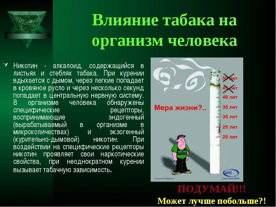 Что содержит никотин. Влияние никотина на организм. Влияние табака на организм человека. Влияние табака на человека. Вредное влияние табака на организм человека.