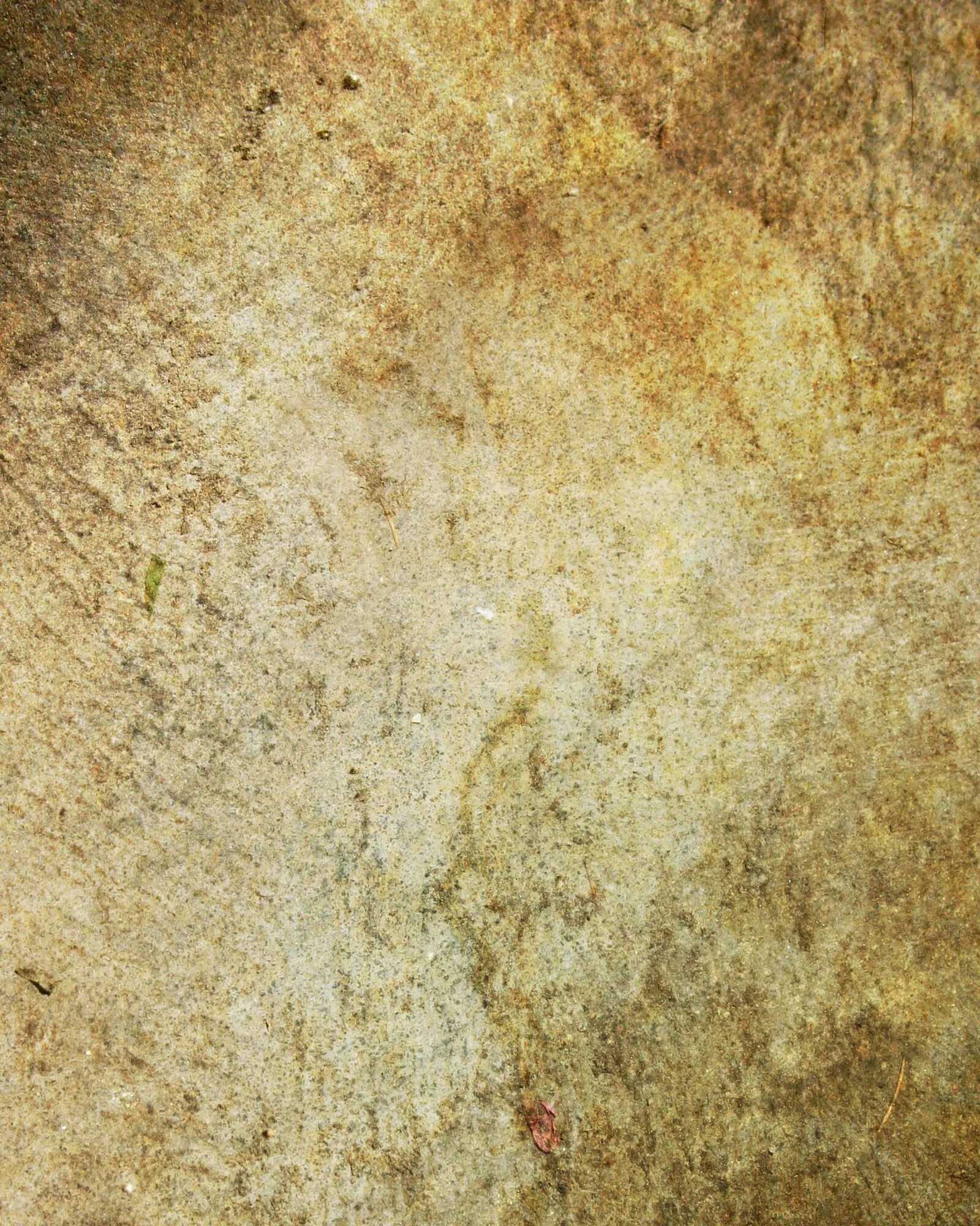 Texture 2