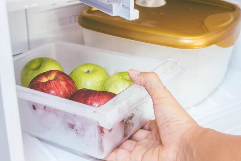 Сколько яблок в холодильнике. Яблоки в холодильнике. Холодильник для хранения яблок. Яблоки в холодильнике хранятся. Холодильник яблочный холодильник яблочный холодильник.