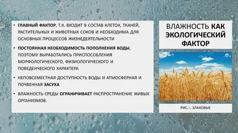 Причины влияющие на температуру воздуха