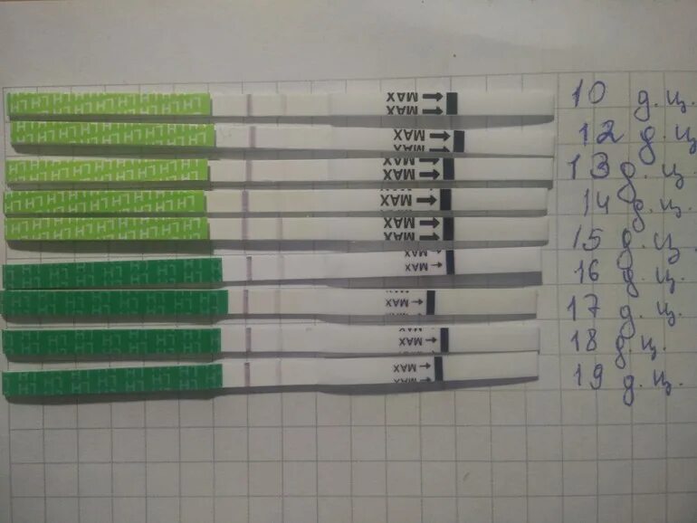 Тест овуляции положителен когда зачатия. 31 День цикла овуляция тест. Тест на овуляцию на 7 день цикла. Динамика тестов на овуляцию. Динамика тестов на беременность.