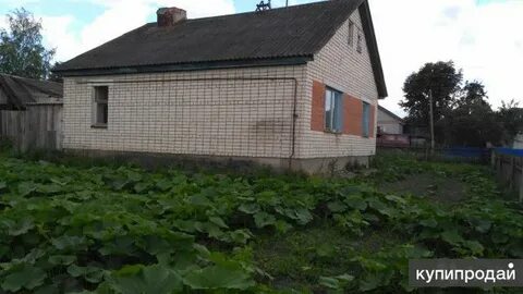 Авито жуковка брянская