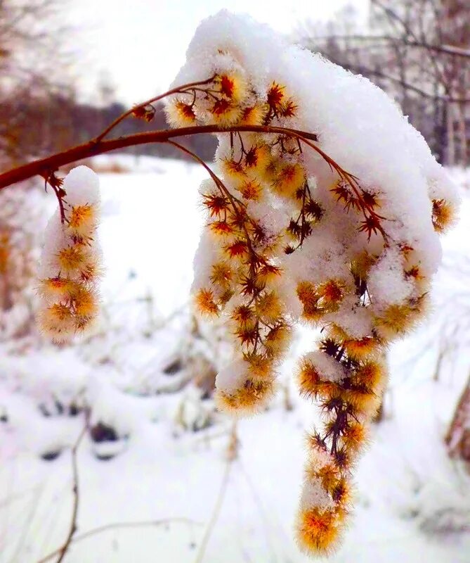 Нетопленного всю зиму