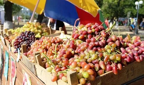 Полезная тамань