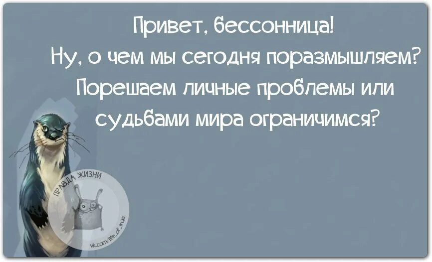 Бессонница чат. Бессонница цитаты. бессонница афоризмы. смешные высказывания про бессонницу. цитаты про бессонницу смешные.