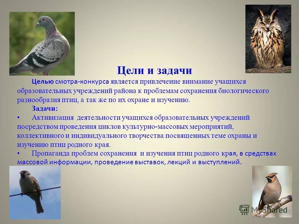 Методы изучения птиц