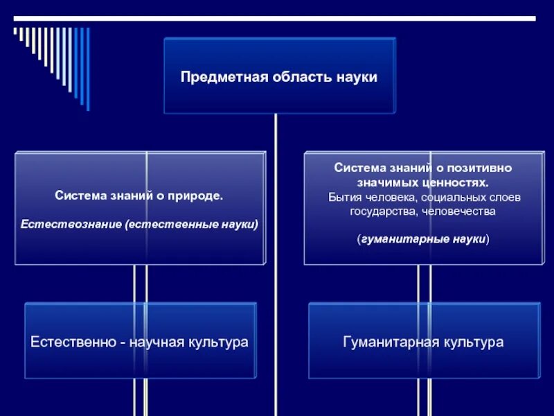Сравнение естественно научного и гуманитарной культуры. Естественно научные и гуманитарные культуры. Научная гуманитарная и культурно. Гуманитарные и естественные науки. Основы гуманитарной культуры.