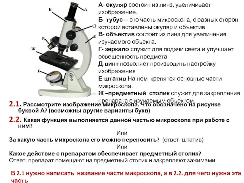 Микроскоп ВПР 5 класс биология. Микроскоп части микроскопа и их функции. ВПР по биологии 6 класс микроскоп схема. ВПР по биологии 6 класс микроскоп.