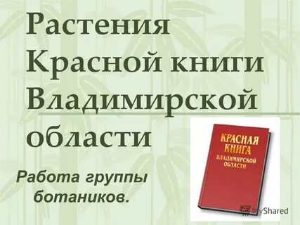 Владимирская красная книга