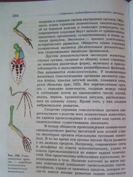 Крылья летучей мыши и плавник кита