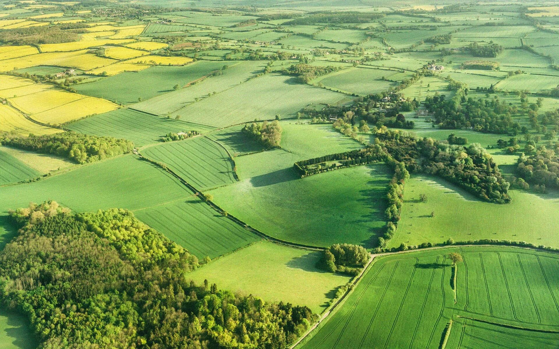Are several fields of