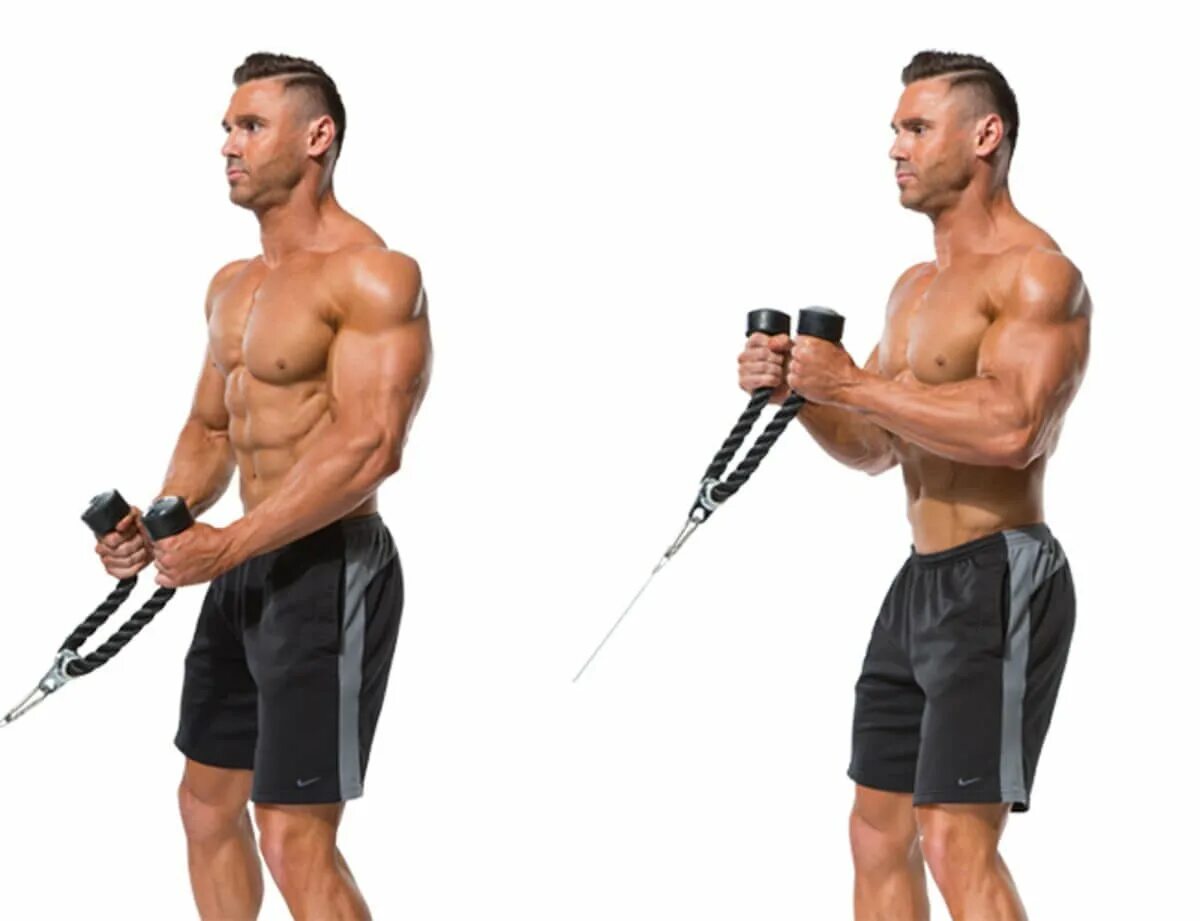 Curl передать. Cable Hammer Curls. Cable Rope Hammer Curl. Cable Curl тренажер бицепс. Biceps Hammer Curl.