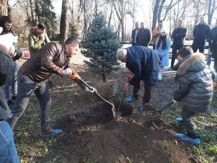 Стк таганрог