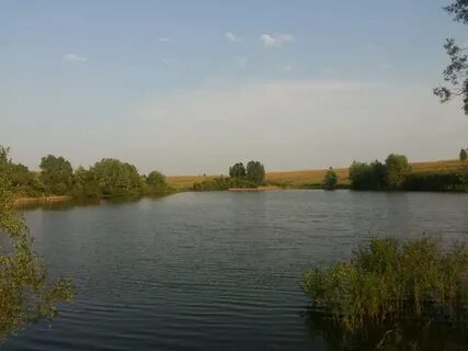 Золотая рыбка куюки