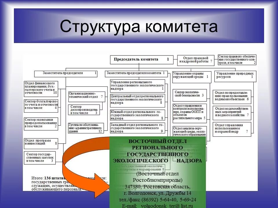 Экологический надзор структура. Структура государственного экологического надзора. Региональный природный надзор. Структура комитета.