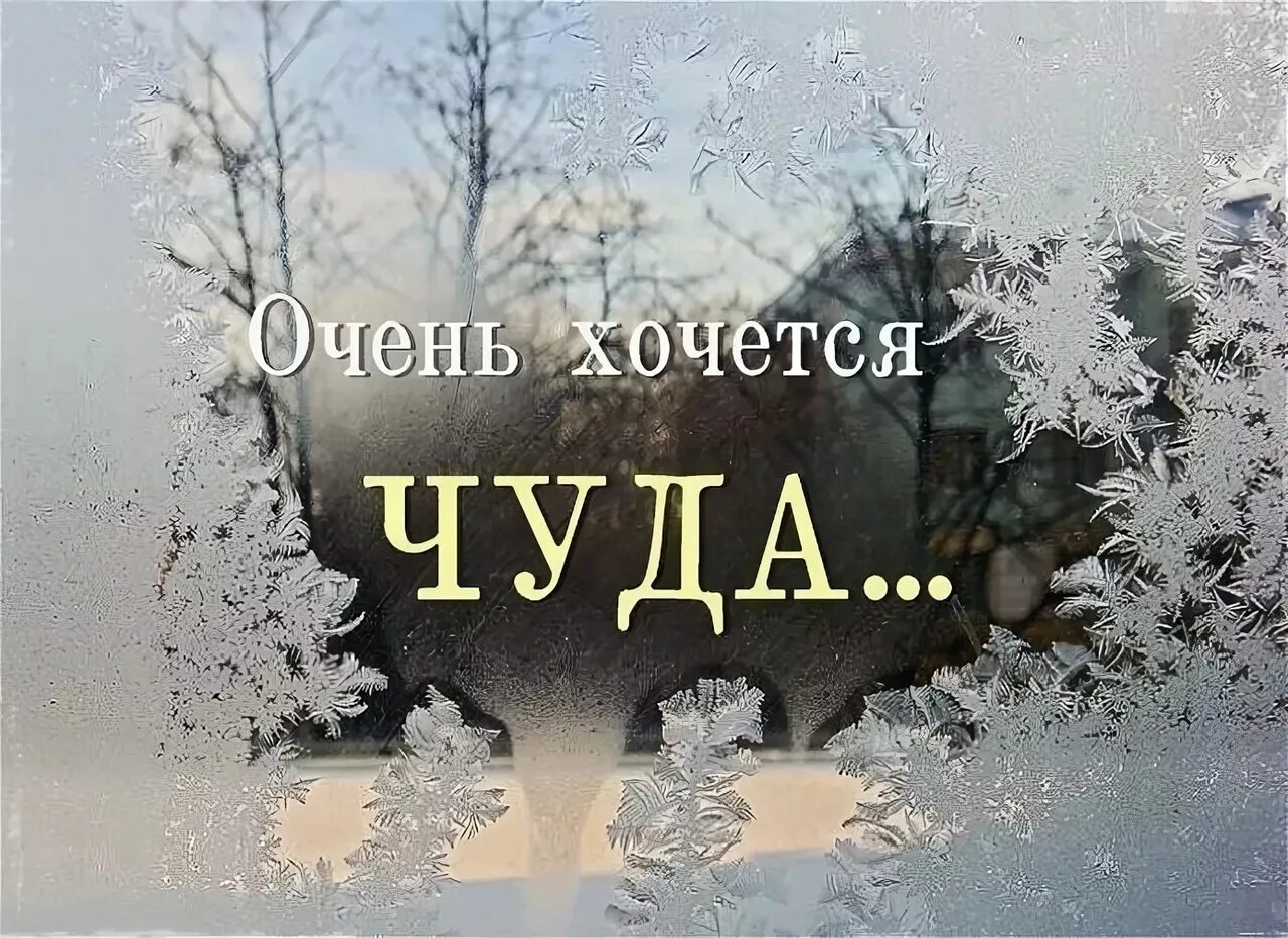 Каждый верит в чудеса. Хочется верить в чудеса. чудеса случаются. статусы про зиму. зимние чудеса случаются.