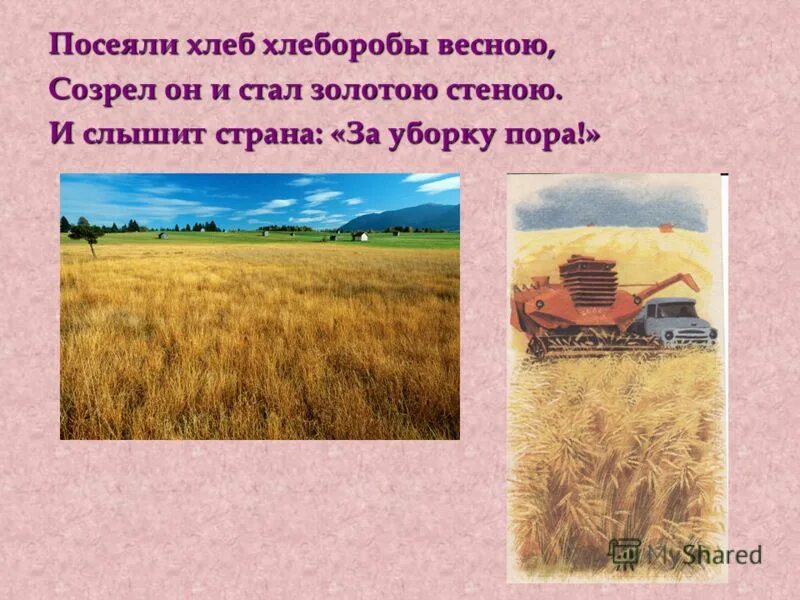 пословицы и поговорки о хлебе для детей. хлебушка не сеют. пшеница в руках. сеют хлеб. картина григория мясоедова сеятель.