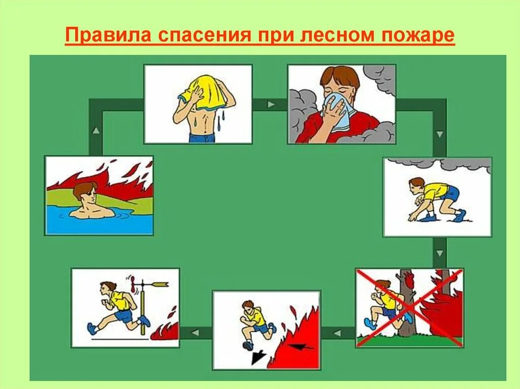 Правила спасения при пожаре. Эвакуация из зоны лесного пожара. Действия при Лесном пожаре. Правила поведения при Лесном пожаре.