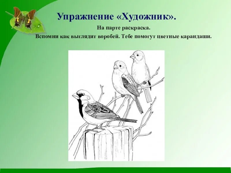 Тест по биологии на тему птицы. Птицы Природоведение 6 класс коррекционная школа. Птицы обитающие вблизи жилья человека. Тема птицы 8 кл коррекционная школа. Презентация на тему птицы 4 коррекционный класс по окружающему.