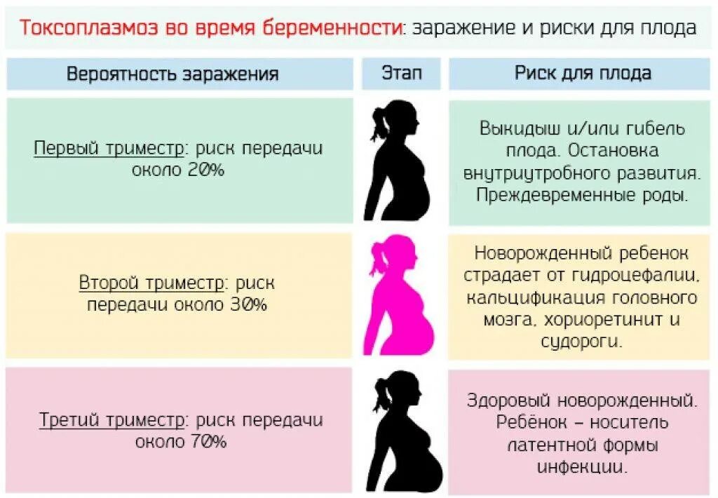 Молочница 3 триместр лечение. Токсоплазмоз при беременности симптомы. Токсоплазмоз и беременность. Токсоплазмоз при беременности проявления. Токсоплазмоз при беременности последствия для плода.